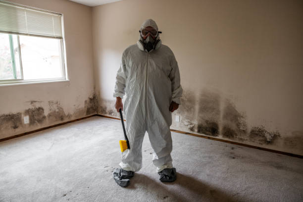 Professional Mold Removal in Plymouth, IN